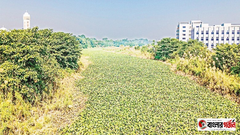 নাব্য সংকটে হারিয়ে যাচ্ছে আড়িয়াল খাঁ-ময়নাকাটা